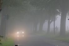 Bei Nebel runter vom Gas und Abstand vergrößern. Foto: ADAC